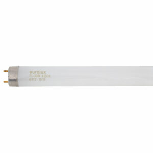 G113-3FT Cool White-0