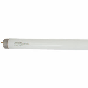 G182-5FT Cool White-0