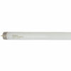 G43-4FT Cool White-0