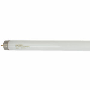 G43-4FT Cool White-0