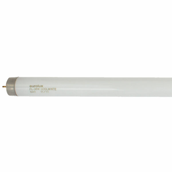 G43-4FT Cool White-0