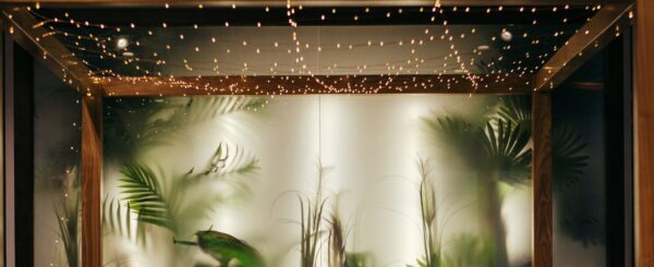 BL-SL5MCRGB FAIRY LIGHTS RGBY 5m (Indoor use)-0