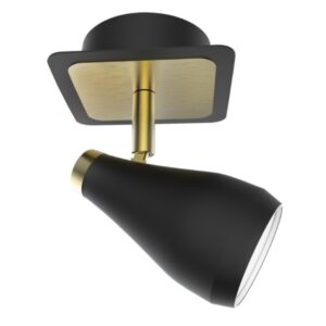 Brightstar S173/1 Black/Brass Spotlight