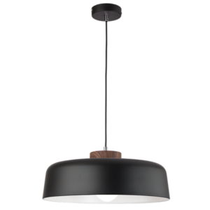 Brightstar PEN221/1 BLACK Metal Pendant