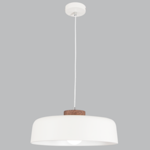 Brightstar PEN221/1 WHITE Metal Pendant White