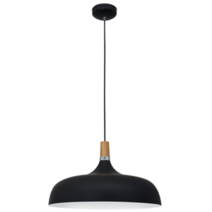 Brightstar PEN912 BLACK, Metal Pendant with Wood