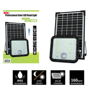 Eurolux FS313 Solar Floodlight & Sensor LED