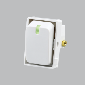 Brightstar ECP607 WHITE Intermediate Switch ( Component )