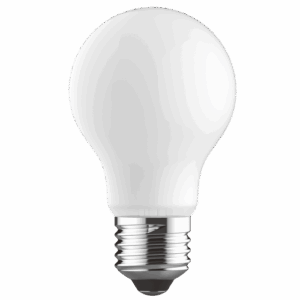 Brightstar BULB LED 249 8W LED A60 Bulb