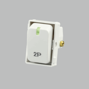 Brightstar ECP624 WHITE Double Pole Isolator Switch (COMPONENT)