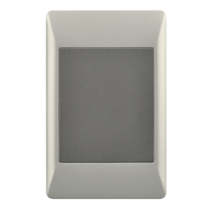 Brightstar ESW080 DUO Blank Plate – 2 X 4