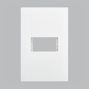Brightstar ECP101 WHITE Single Module Cover Plate – 4 X 2