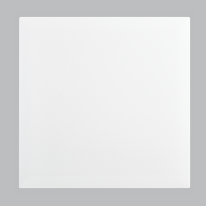 Brightstar ECP106 WHITE Blank Module Cover Plate – 4 X 4