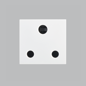 Brightstar ECP113 WHITE 16A RSA Socket ( Double Module )