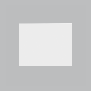 Brightstar ECP125 WHITE  Large Blank ( 1.5 Module )