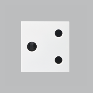 Brightstar ECP131 WHITE  16A RSA Socket ( Double Module )