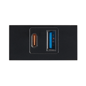 Brightstar ECP170 BLACK  5V 3.4A USB Type A and C ( Single Module )
