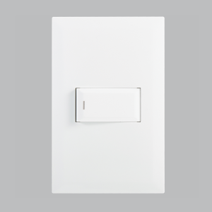 Brightstar ESW201 WHITE 1 Lever 1 Way Switch – 4 X 2