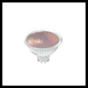 K Light D-1D01269R 12v 50W G5.3 MR16 Halogen Dichroic bulb